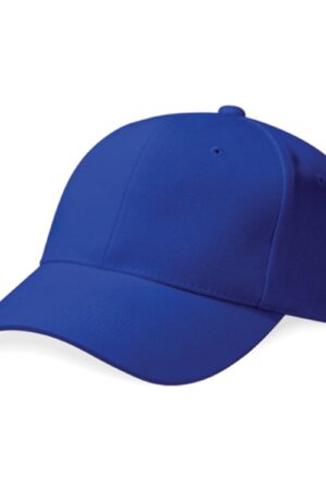 Pro-Style Heavy Brushed Cotton Cap